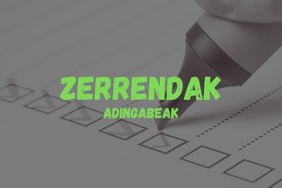 Adingabeen igeriketa-ikastaroetako aldi baterako zerrendak eguneraketa